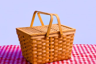 Election Day: Mystery Basket (Ages 9-13)