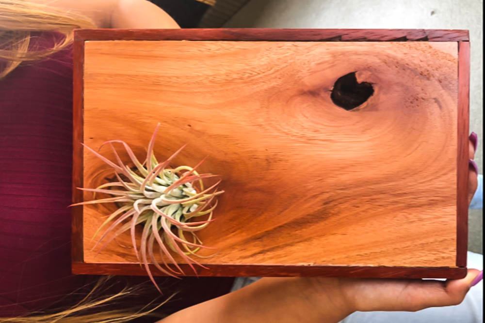 San Diego Fine Woodworking Society