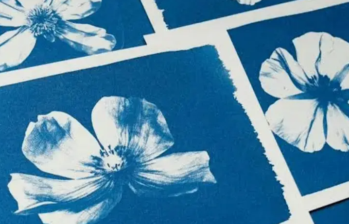 Cyanotype Printmaking: A Special Workshop