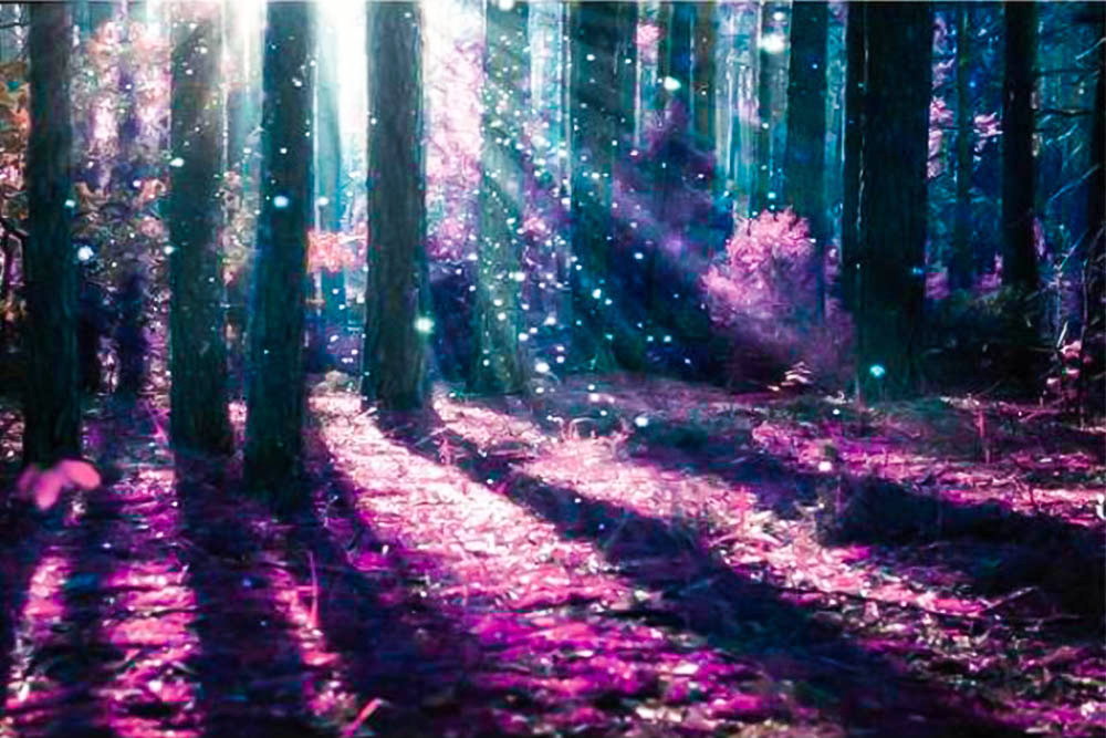 Wonderland