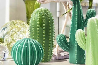 BYOB Ceramic Cactus Making