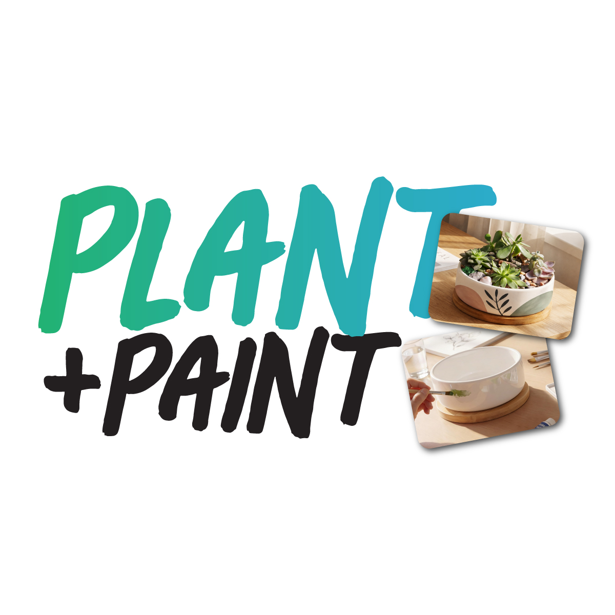 PLANT + PAINT: Succulents