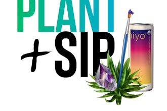PLANT + Sip: Succulents