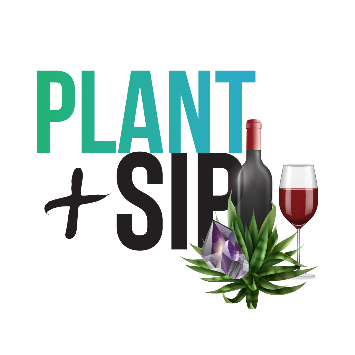 PLANT + Sip: Succulents