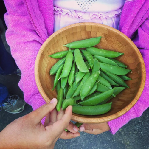 Farm to Table Cooking Class (at Beyond the Classroom)