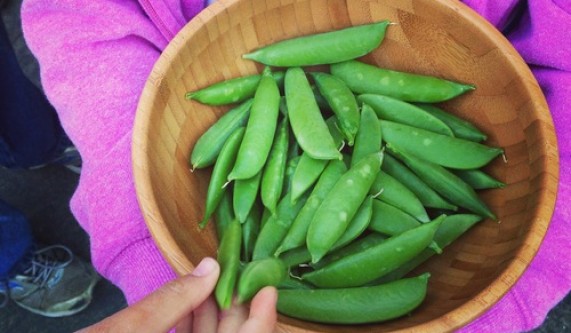 Seasonal Eats ~ For Kids!