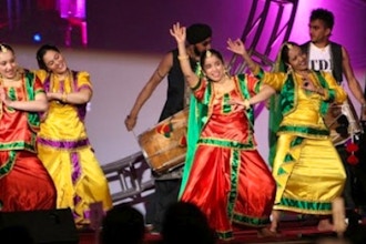 Bhangra Adult (Advanced)