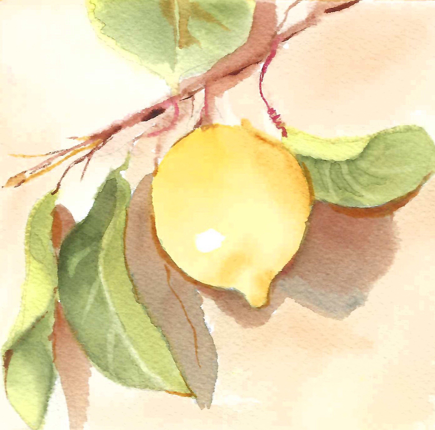 Watercolor: Basics and Beyond