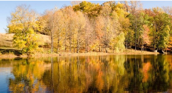 Fall Photo Walk in Central Park: Learn Landscape and Fall Foliage Photography in NYC