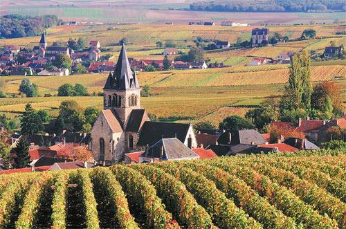 France: Making Sense of It All