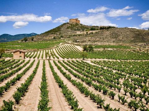 Ribera y Rueda