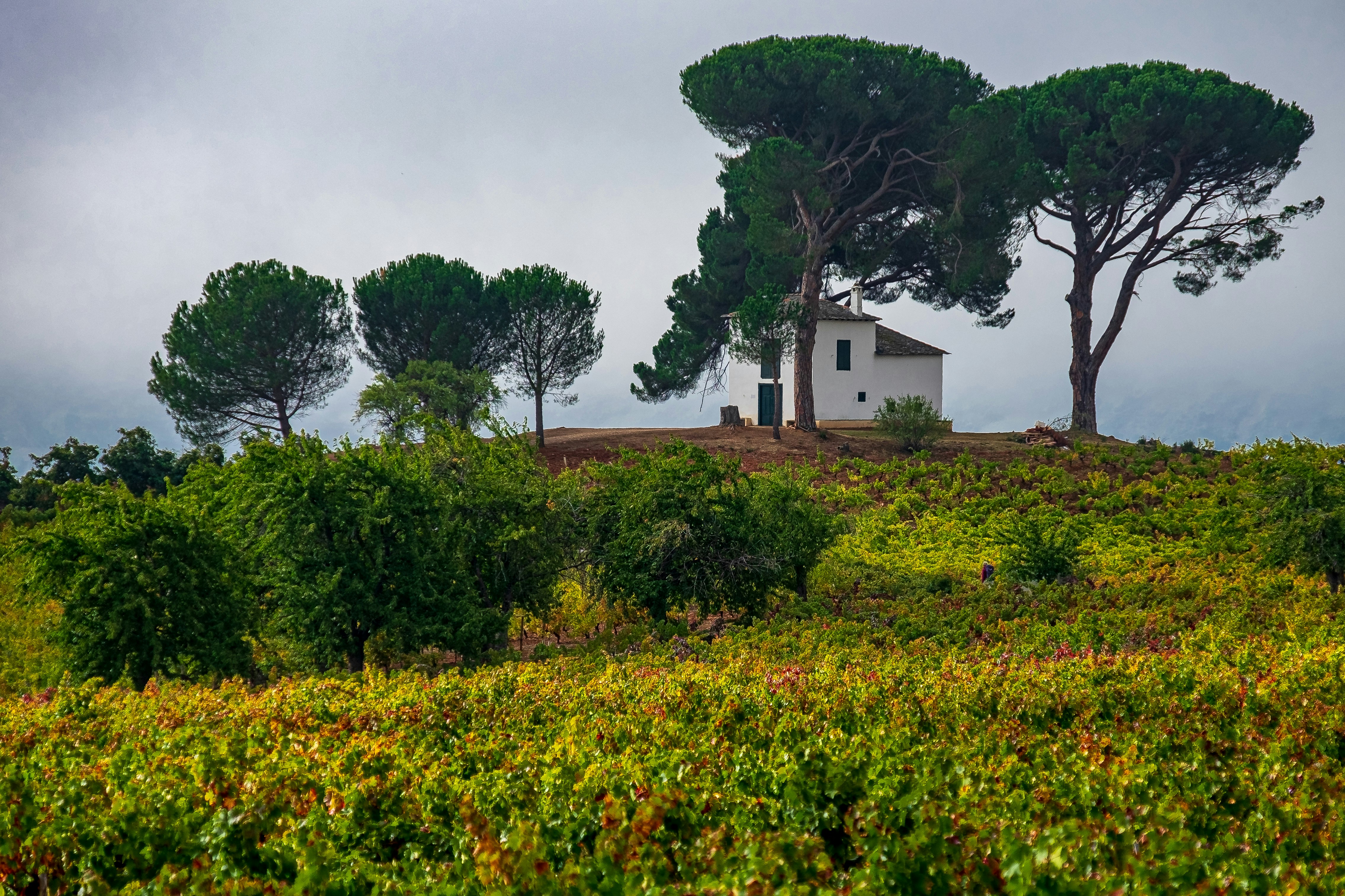 Italy: North to South