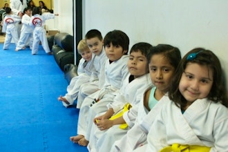 Kid's Tae Kwon Do and Self-Defense Beg (ages 4-6)