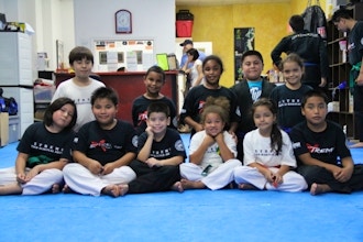 Kid's Tae Kwon Do and Self-Defense Int (ages 9-12)