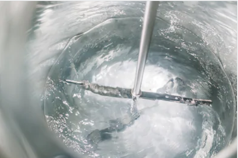 Water: Lecture & Tasting