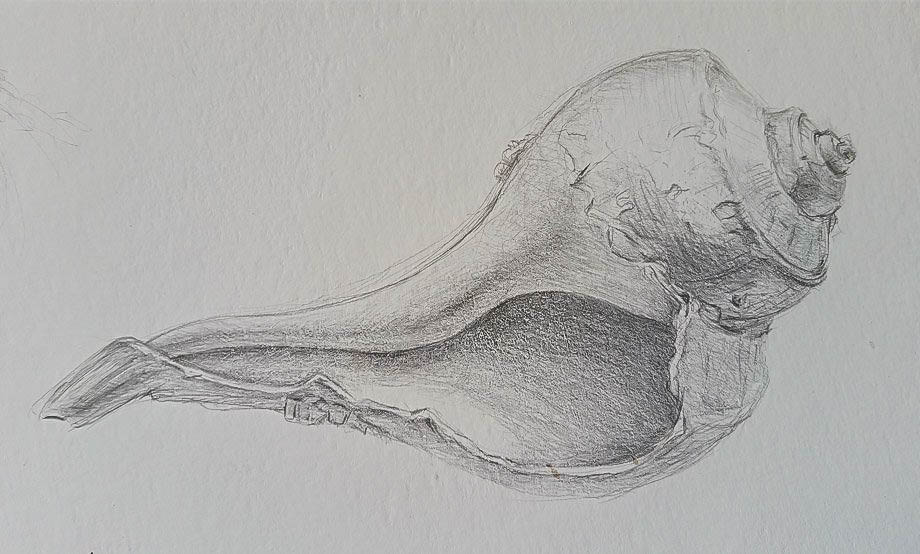 Drawing from Nature with Silverpoint
