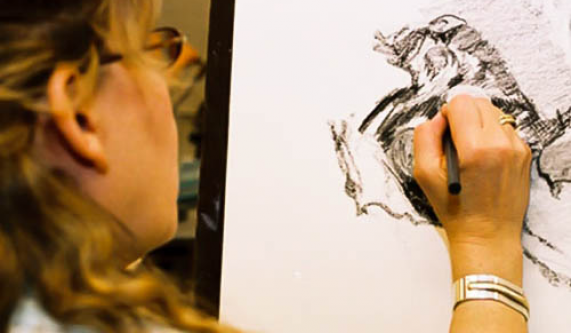Drawing Boot Camp