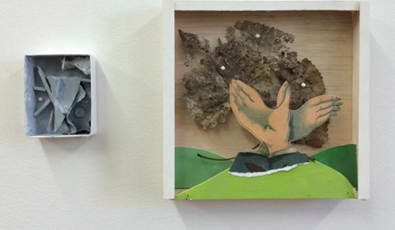 Shadowbox Assemblages