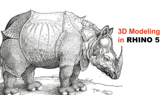 Modeling Cocktail Rings In Rhino Rhino Training Online Coursehorse 92nd Street Y