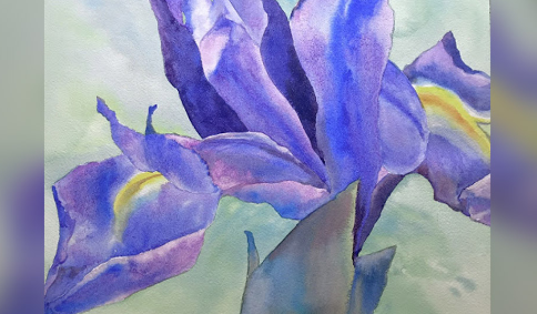 Painting Flowers in Watercolor