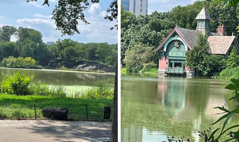 Northern Central Park Public Art Tour