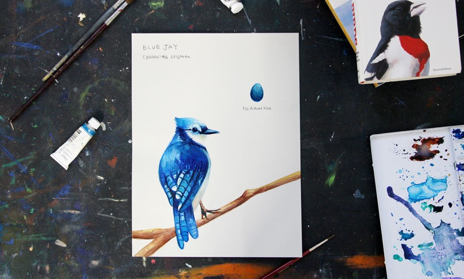 Watercolor for Birdwatchers