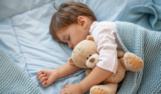 Toddler Sleep