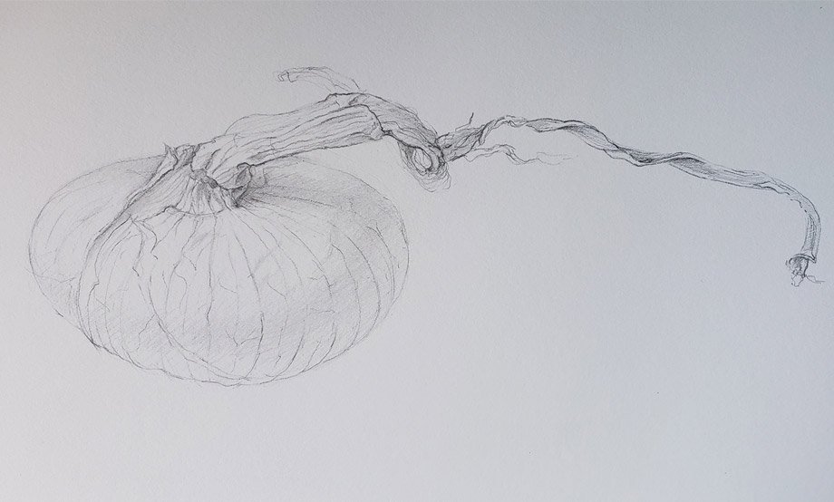 Botanical Drawing I