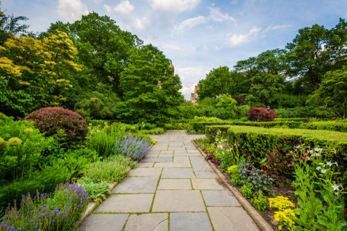 How to Photograph a Garden