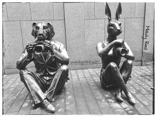 City Safari Photography