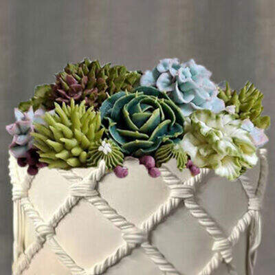 Creative Piping Bo Ho Succulent with Syd