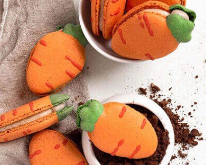 Spring on Macaron