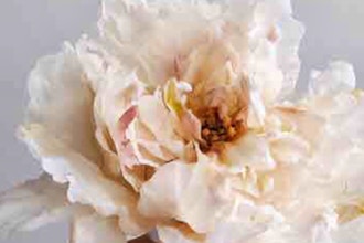 Wafer Paper Peony