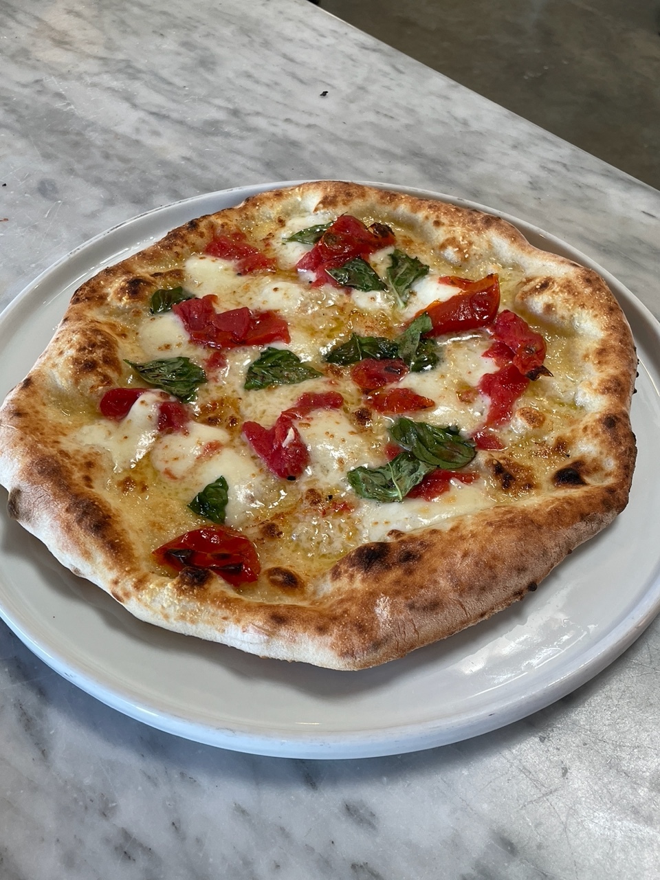 Pizza Maker for 1 Day