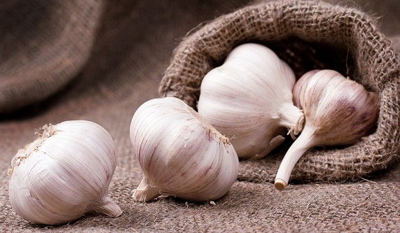 Glorious Garlic