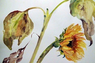 Summer Blooms Watercolor Workshop