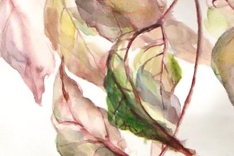 Watercolor for Absolute Beginners and Beyond