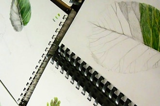 Botanical Drawing (Beginner)