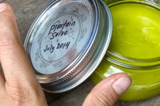 Garden Apothecary: Healing Salves