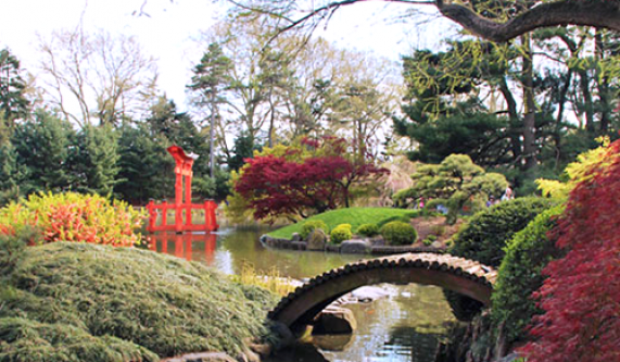 Water Conscious Gardening Create A Rain Garden Gardening