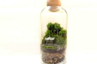 Make a Japanese Garden Moss Terrarium