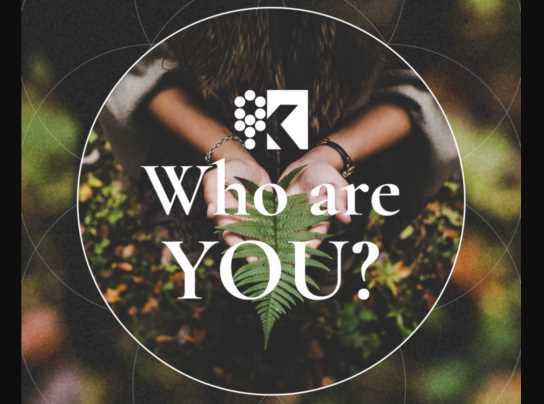 LEVEL II - Masks: Who Are You?