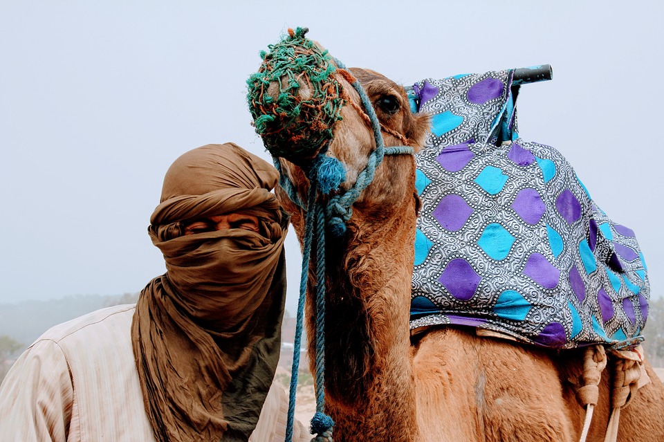 Arabic Intermediate 1