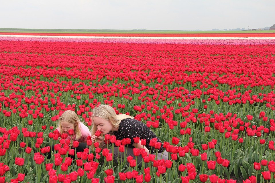 Private Dutch Lessons