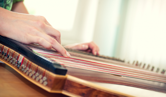 Zither Lessons (Private)