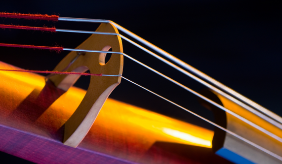 Bass Lessons: Upright / Electric (Private)