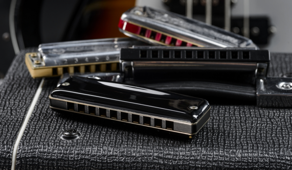Harmonica Lessons (Private) [Class in NYC] City Music Schools