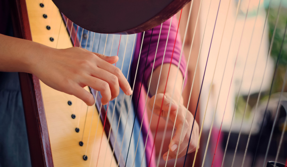 Harp Lessons: Folk, Celtic or Harpsicle (Private)