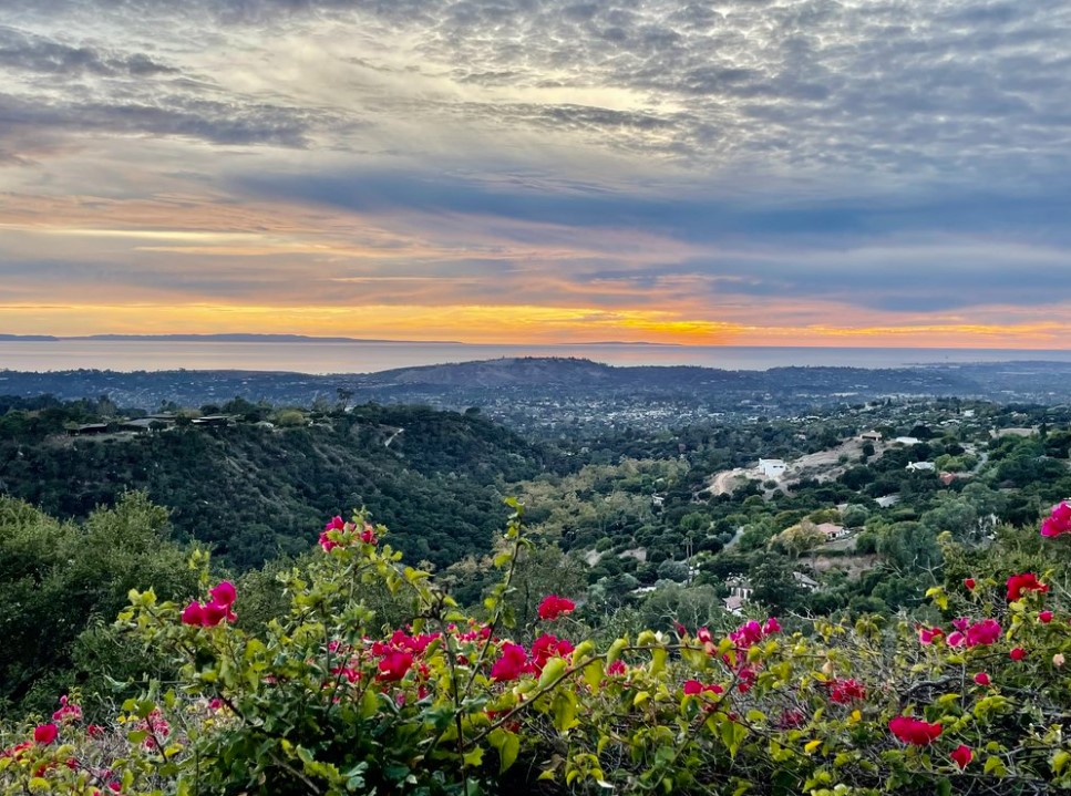 Meditation & Creativity 1 Day Retreat
