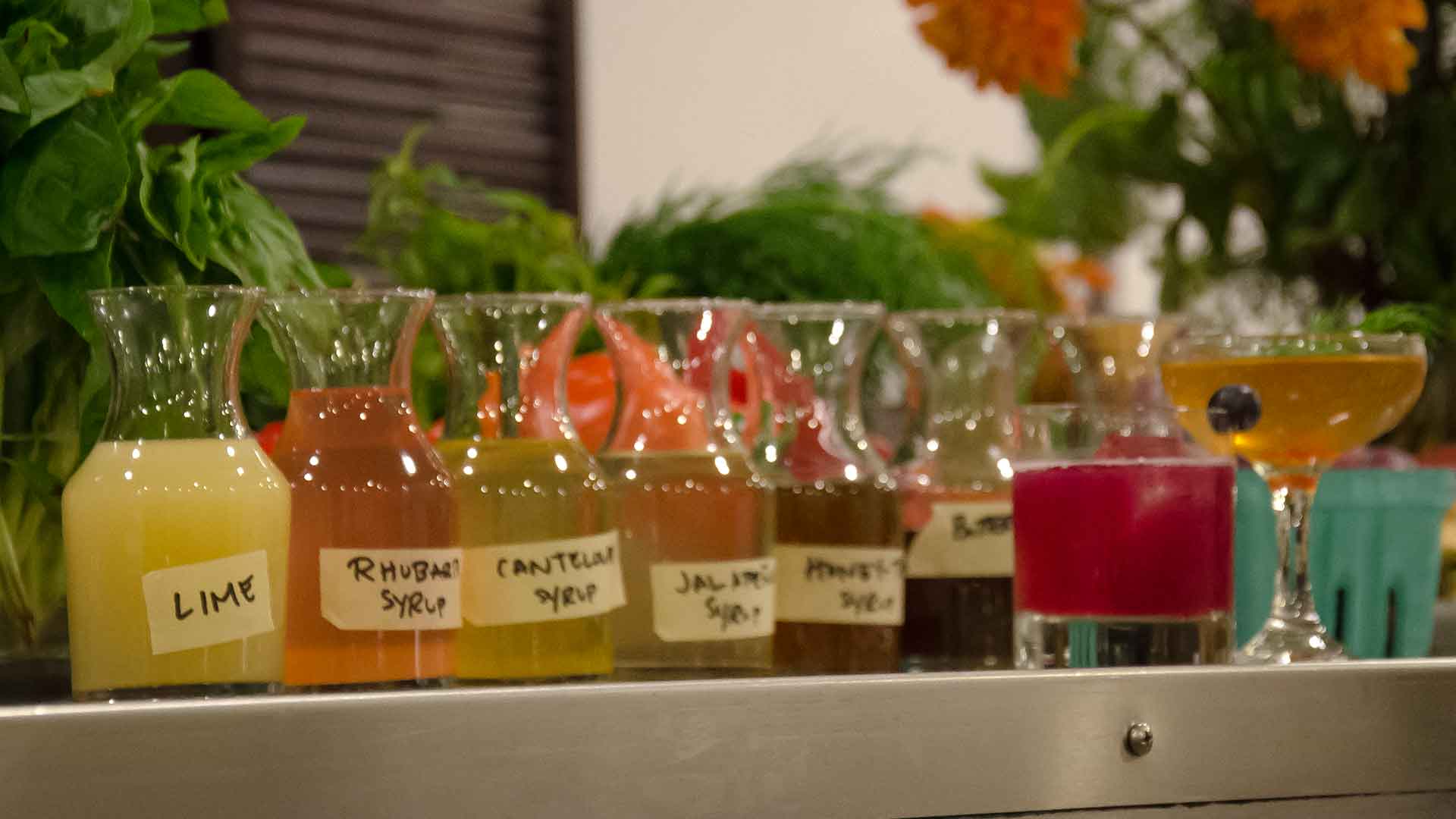 The Bartender's Garden: Winter Cocktails